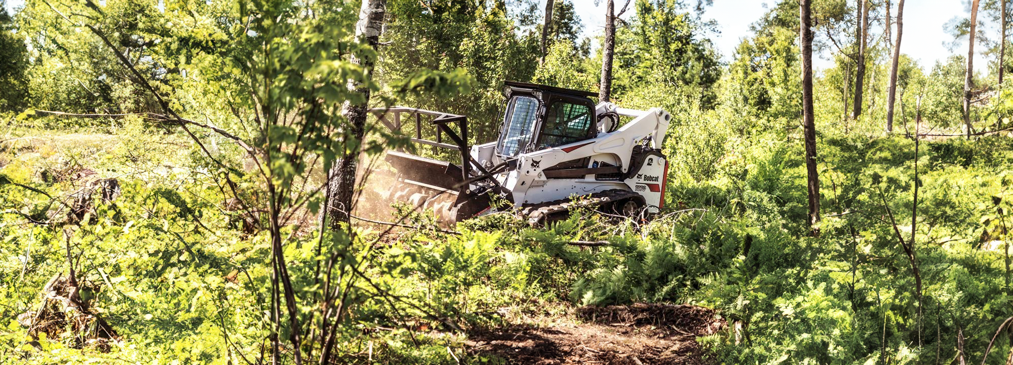 Tazz-It-Up, LLC Land Clearing Services in South Louisiana