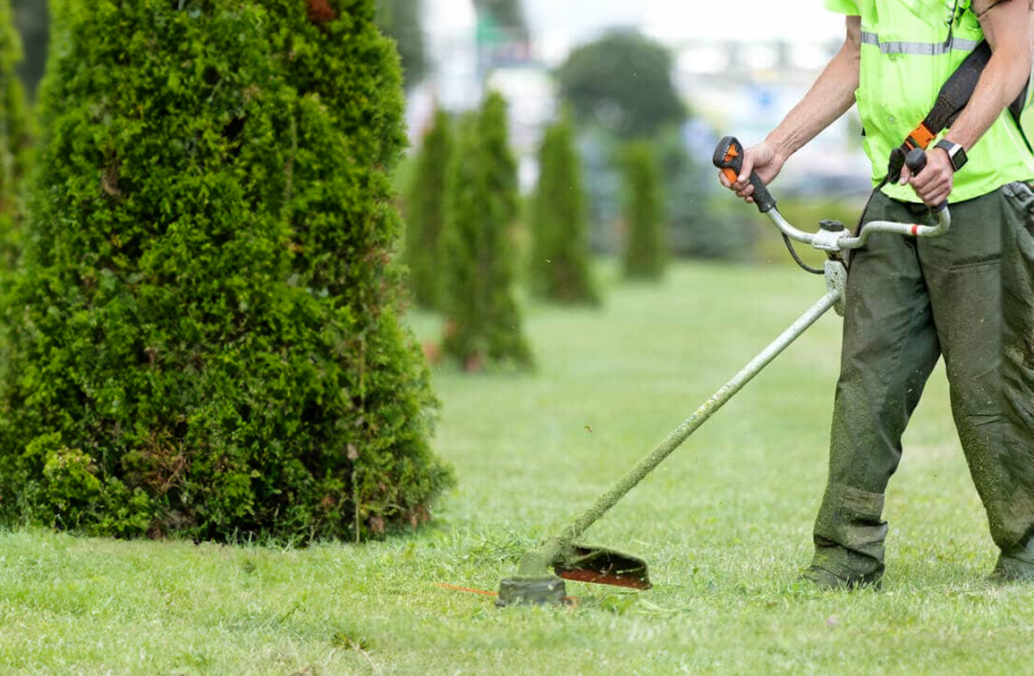 Tazz-It-Up LLC Lawn Services Houma LA - Lawn Care & Landscape Maintenance