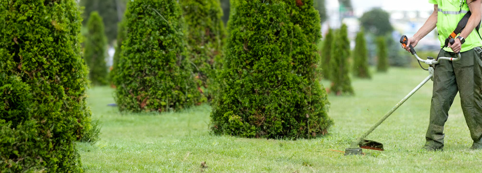 Tazz-It-Up, LLC Lawn Services in South Louisiana