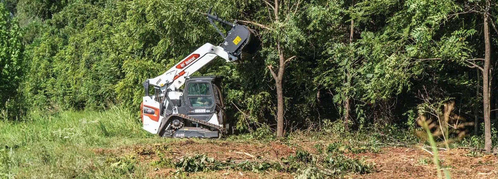 Tazz-It-Up, LLC Tree and Brush Removal Services in South Louisiana